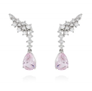 Pendientes TREPADORES plata